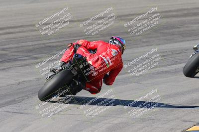 media/Feb-04-2024-SoCal Trackdays (Sun) [[91d6515b1d]]/4-Bowl Backside (11am)/